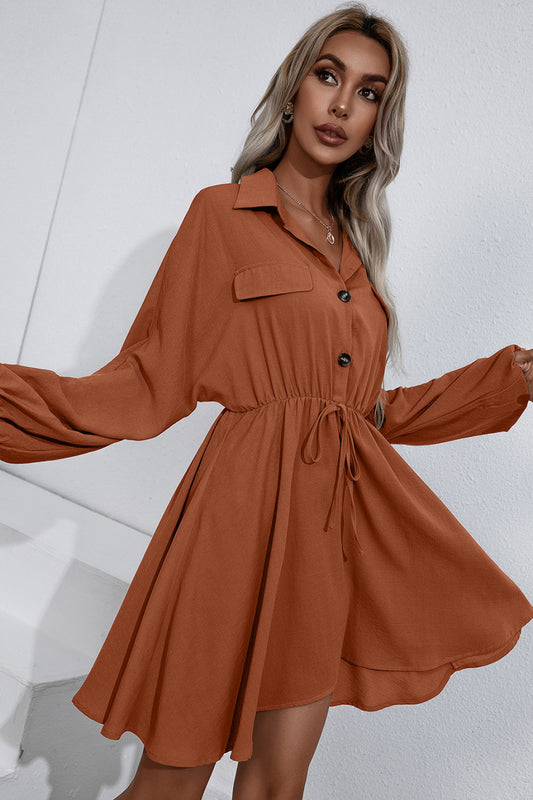 Ivy Lane Collared Tie Waist Button Up Shirt Dress