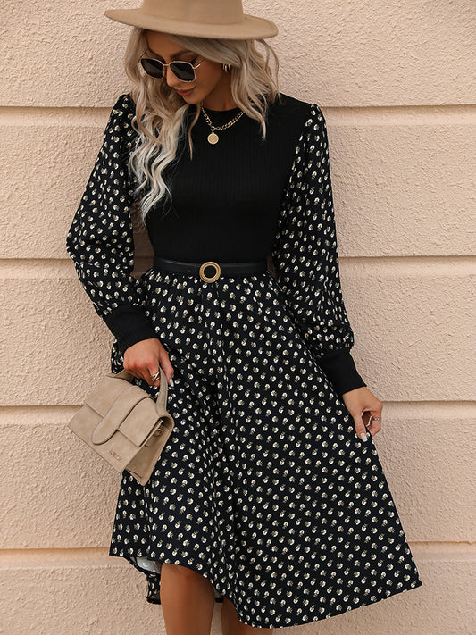 Printed Round Neck Long Sleeve Dress